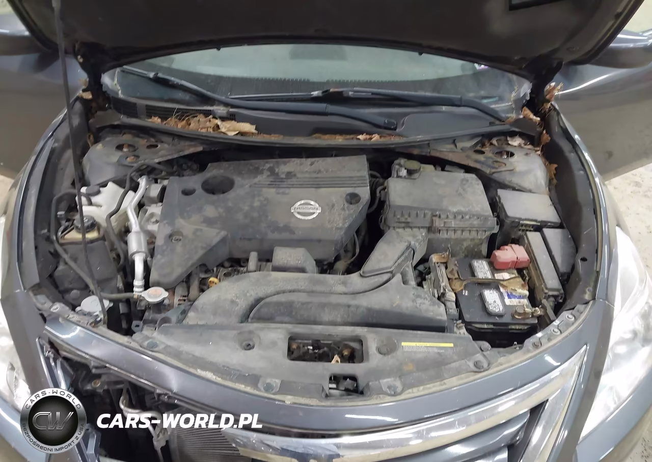 2013 Nissan Altima 2.5 S VIN:1N4AL3AP8DC921742 - 10