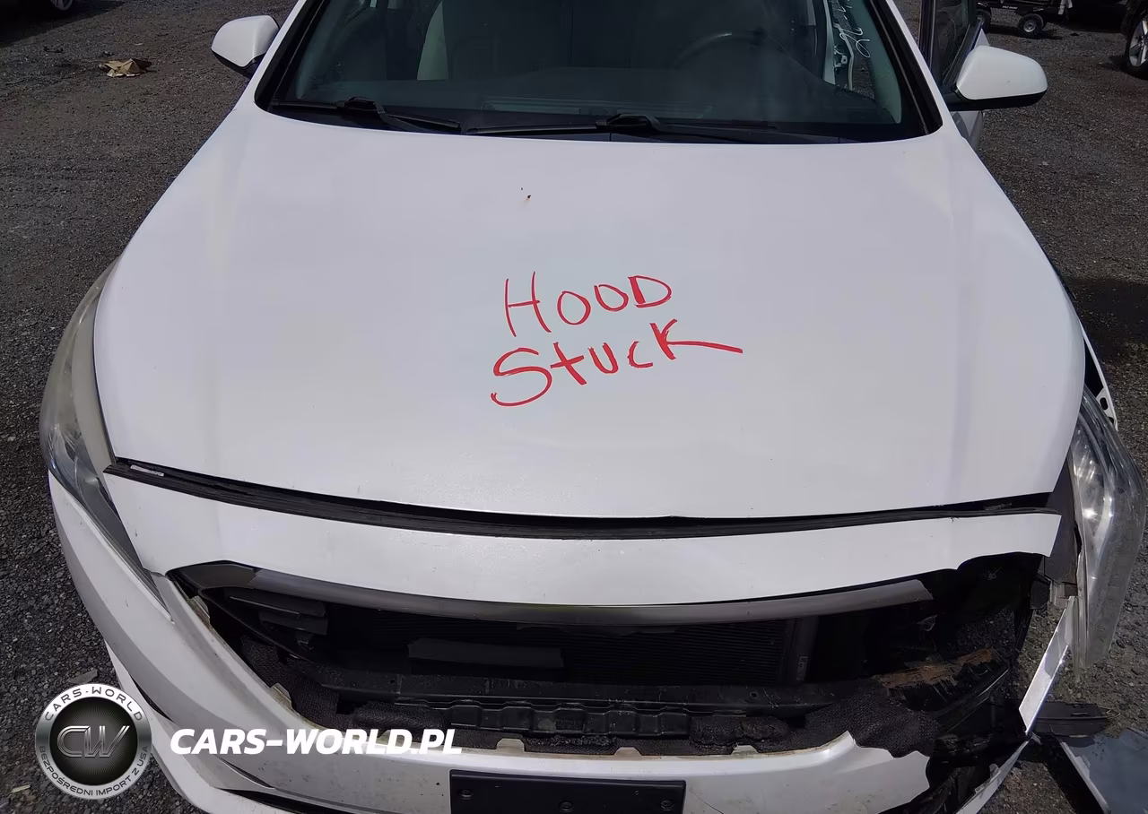 2017 Hyundai Sonata VIN:5NPE24AF6HH544186 - 10