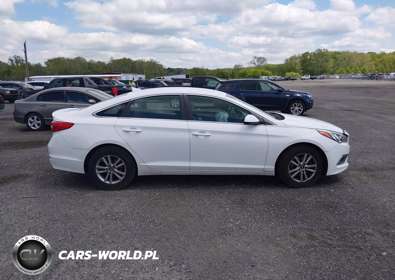 2017 Hyundai Sonata VIN:5NPE24AF6HH544186 - 13