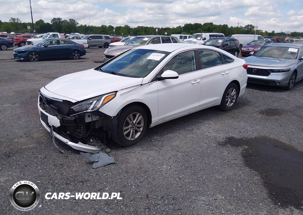 2017 Hyundai Sonata VIN:5NPE24AF6HH544186 - 2
