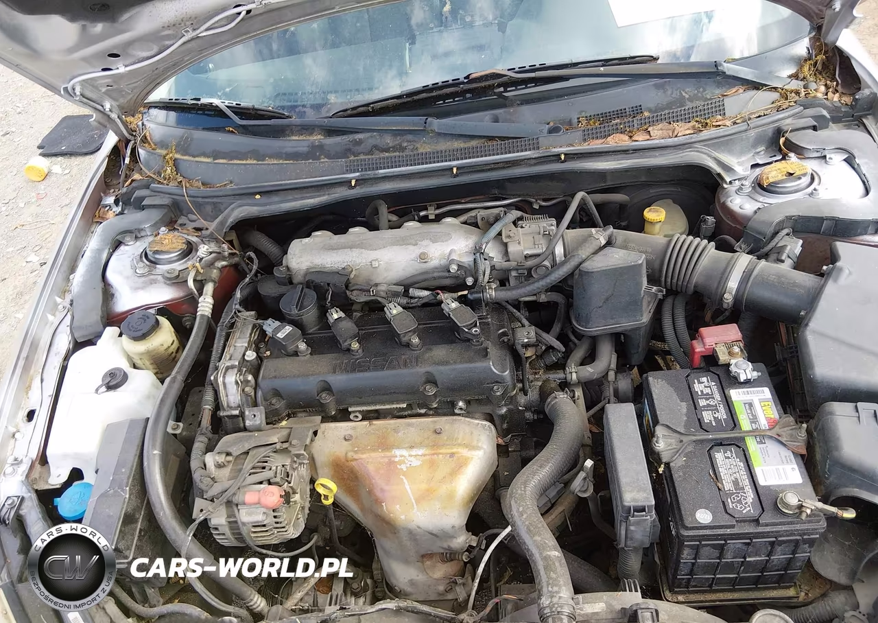 2003 Nissan Altima 2.5 S VIN:1N4AL11D73C186650 - 10