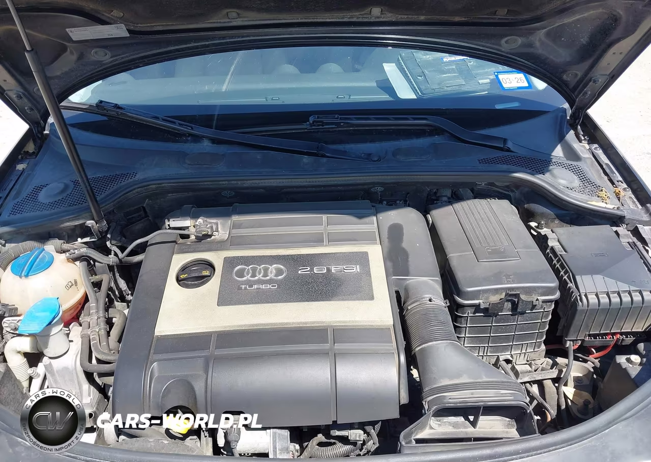 2008 Audi A3 2.0T VIN:WAUNF78P48A007728 - 10
