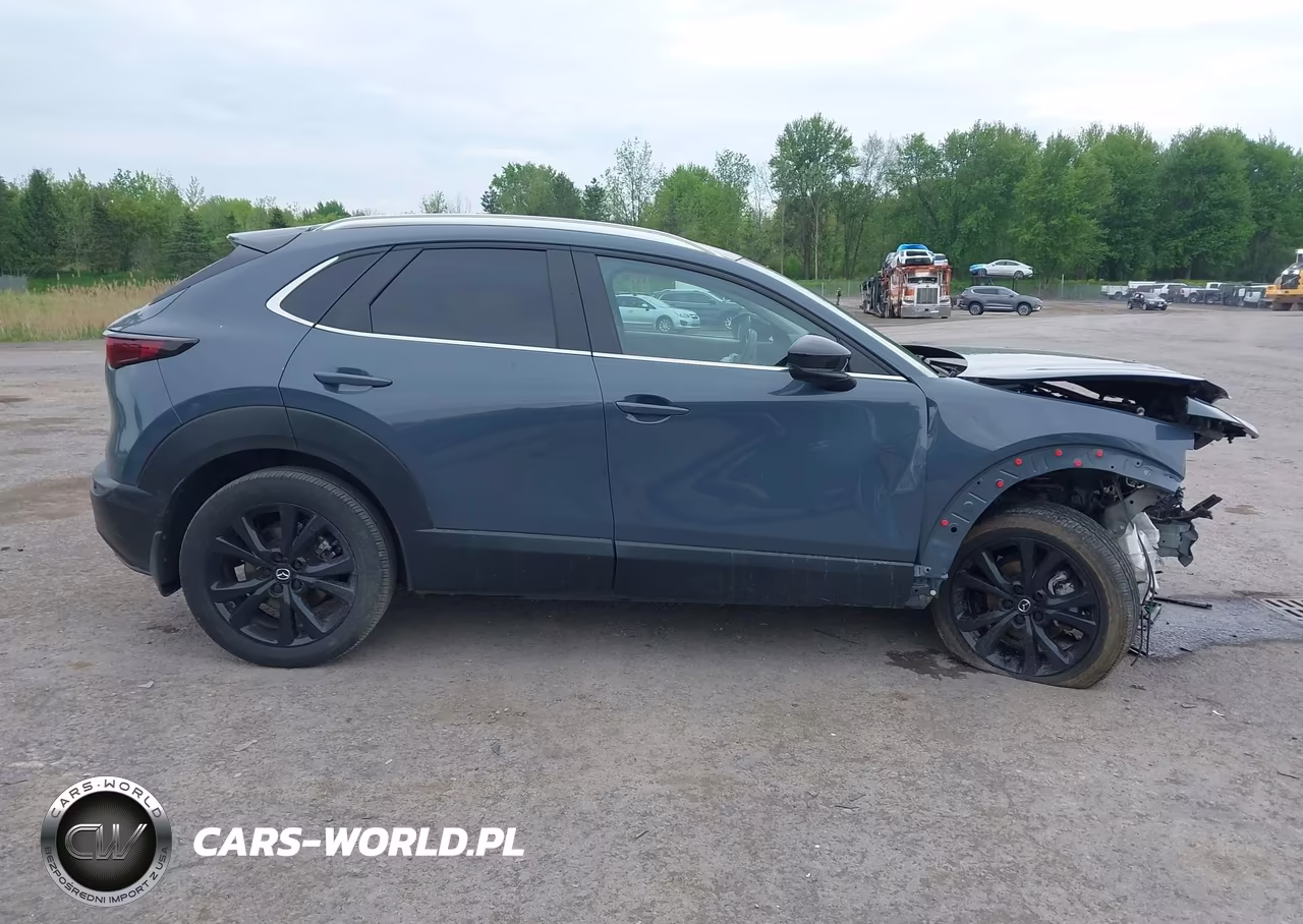 2024 Mazda Cx-30 2.5 S Carbon Edition VIN:3MVDMBCM8RM603741 - 14