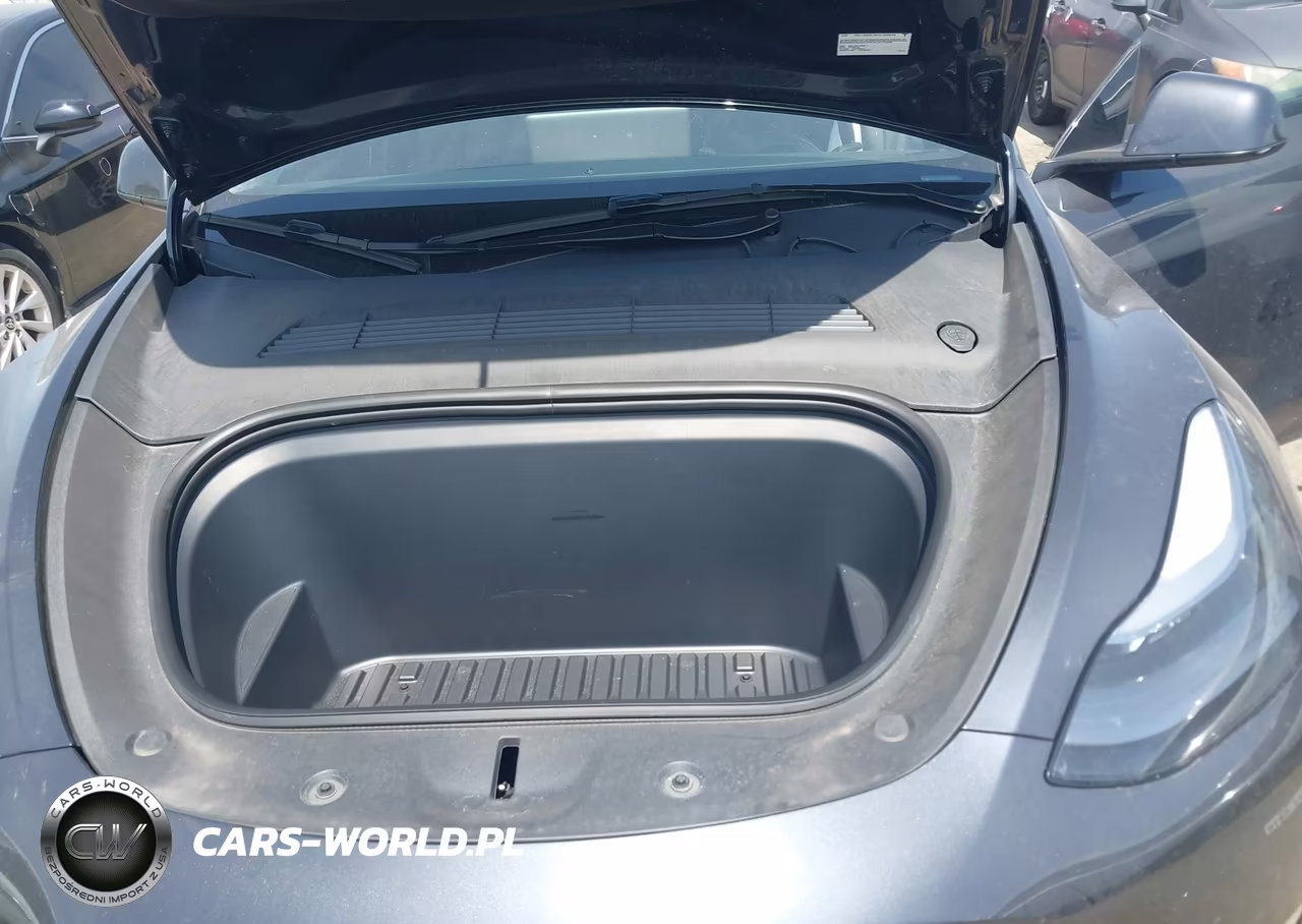 2025 Tesla Model Y Long Range Dual Motor Rear-Wheel Drive VIN:7SAYGDED5SA347359 - 10
