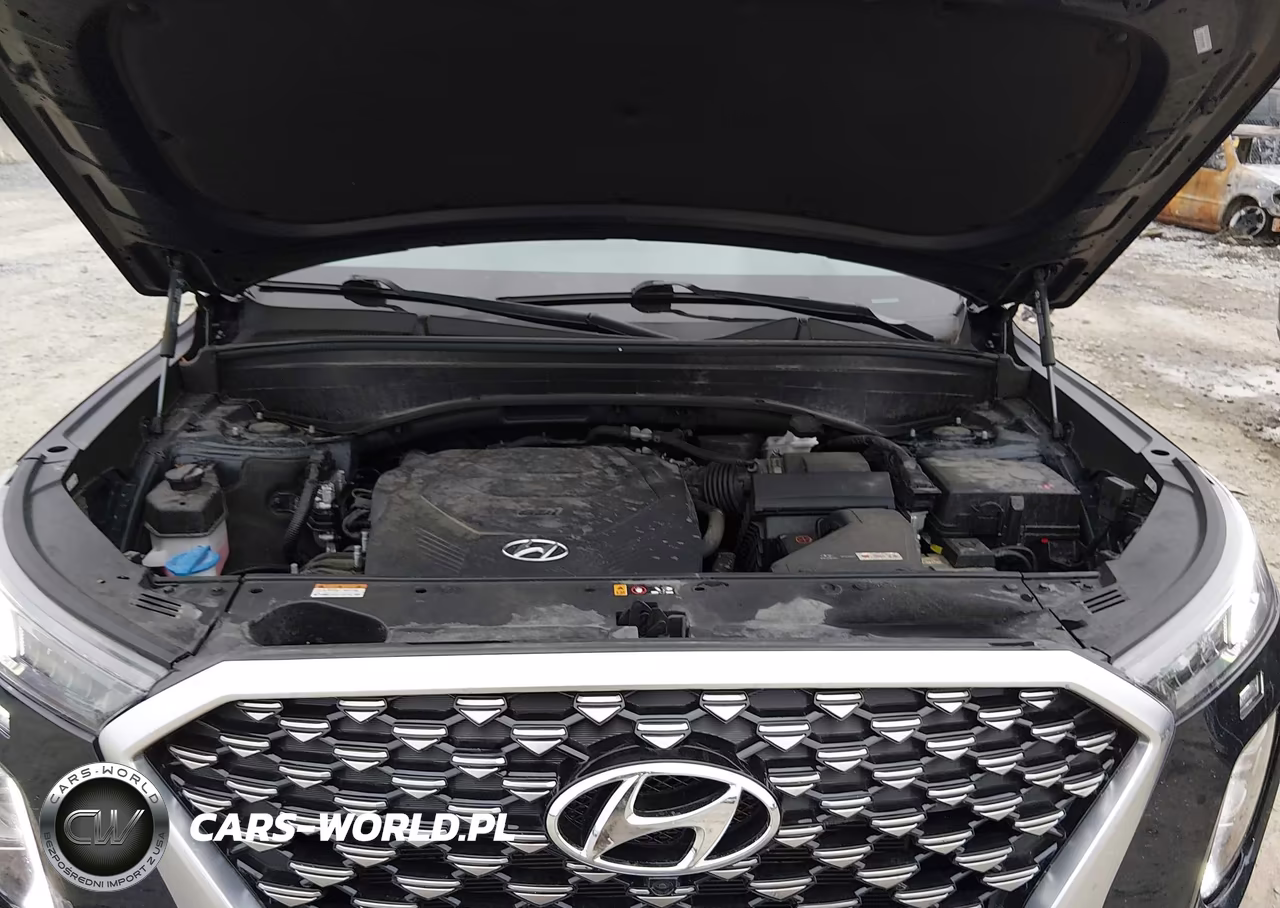 2021 Hyundai Palisade Calligraphy VIN:KM8R7DHE5MU280034 - 10