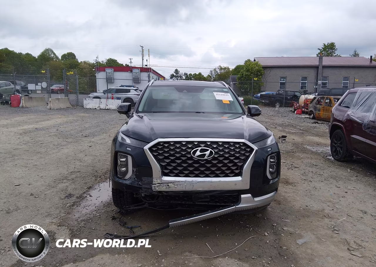 2021 Hyundai Palisade Calligraphy VIN:KM8R7DHE5MU280034 - 13
