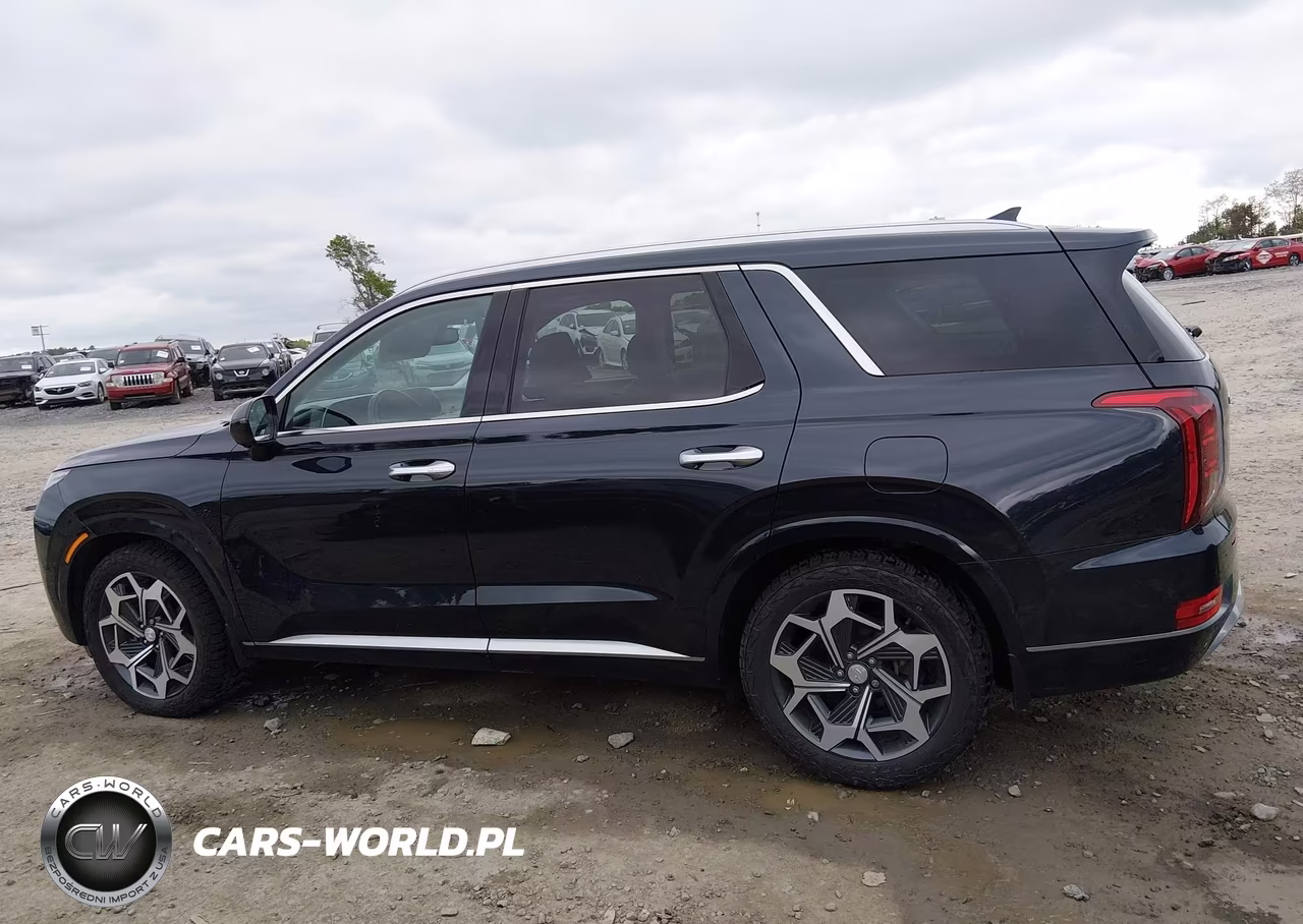 2021 Hyundai Palisade Calligraphy VIN:KM8R7DHE5MU280034 - 15