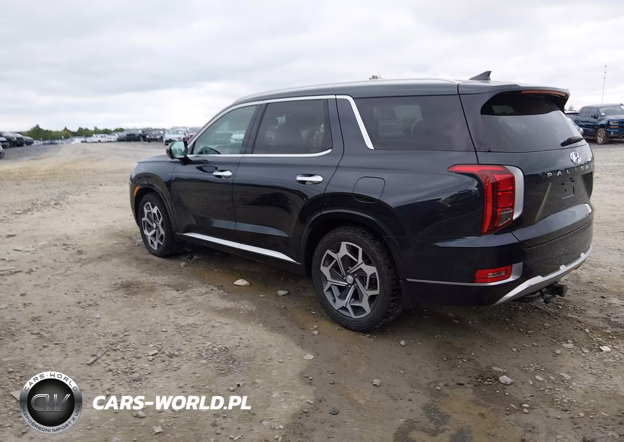 2021 Hyundai Palisade Calligraphy VIN:KM8R7DHE5MU280034 - 3