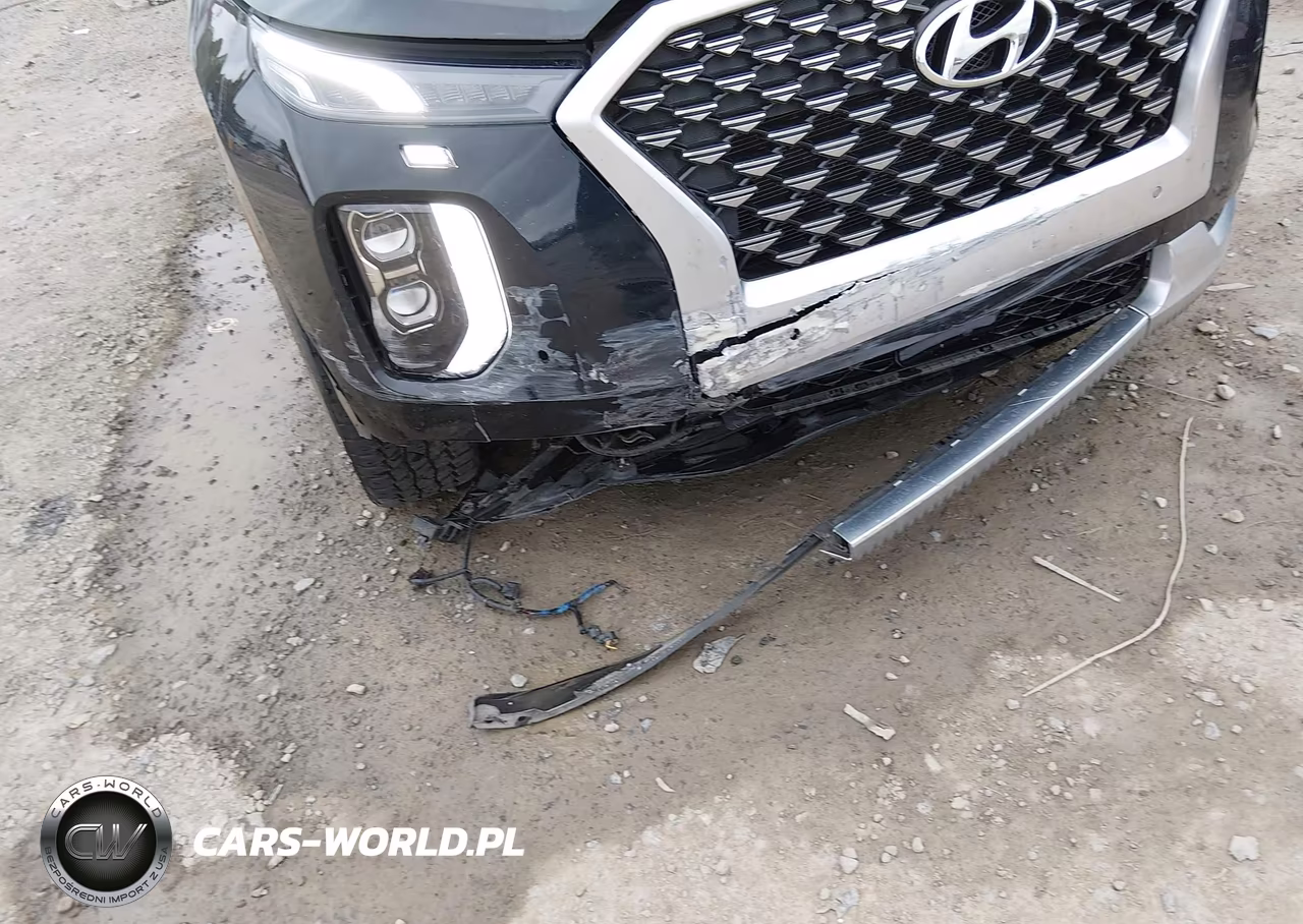 2021 Hyundai Palisade Calligraphy VIN:KM8R7DHE5MU280034 - 6