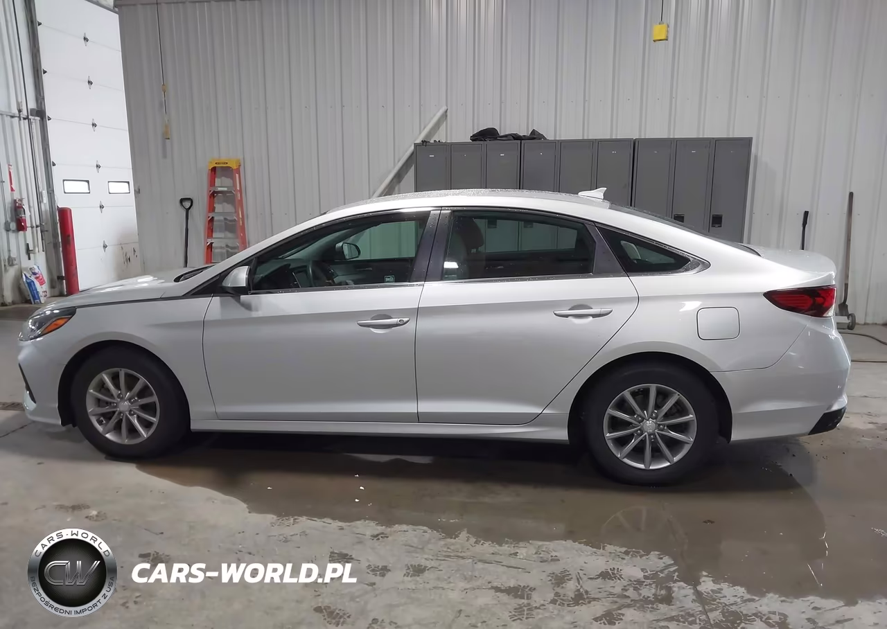 2019 Hyundai Sonata Eco VIN:5NPE24AA7KH775139 - 19