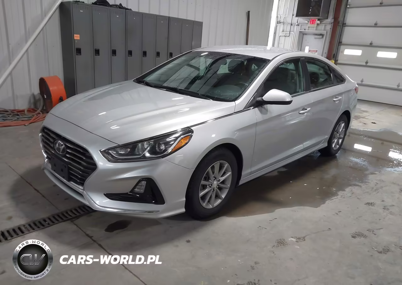 2019 Hyundai Sonata Eco VIN:5NPE24AA7KH775139 - 2