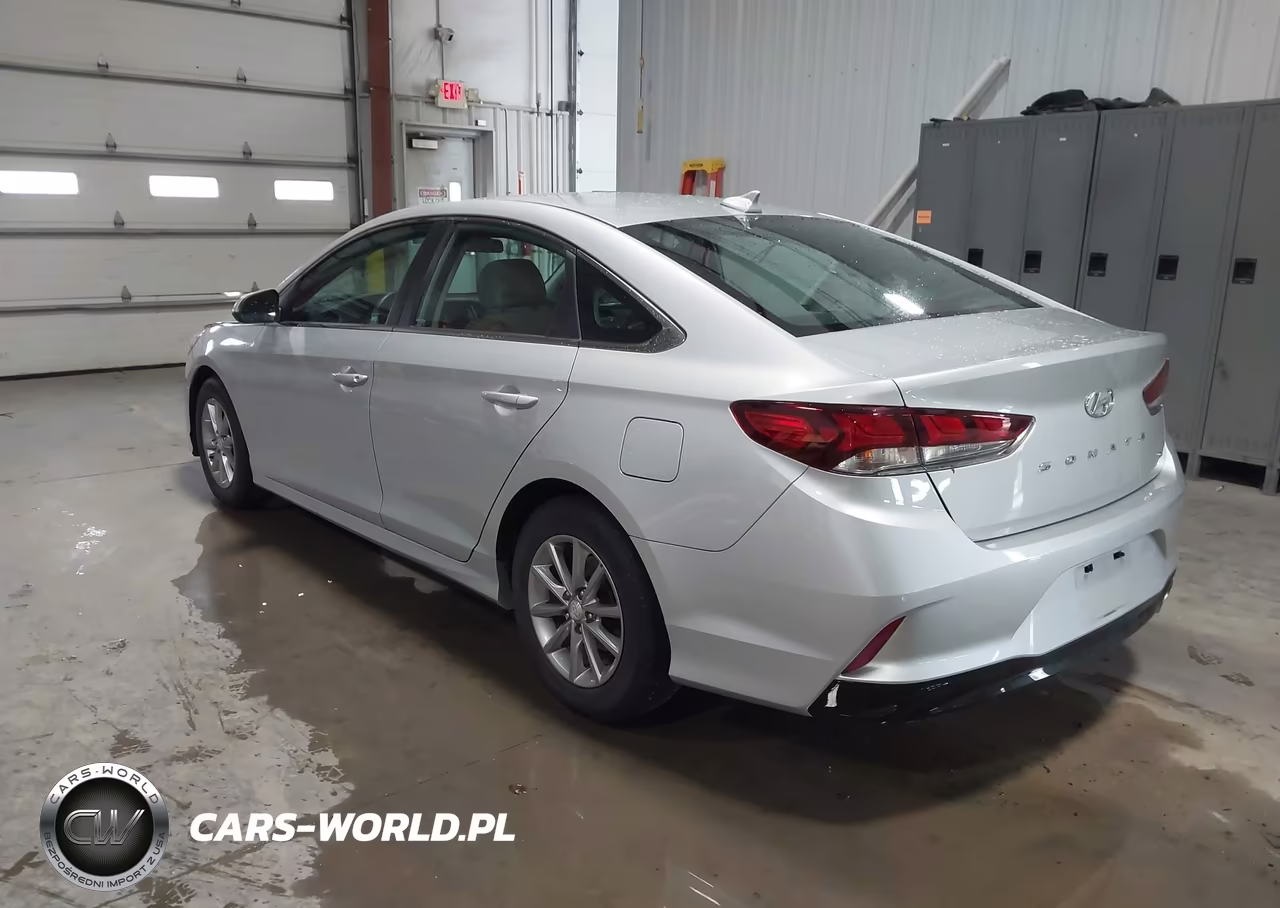 2019 Hyundai Sonata Eco VIN:5NPE24AA7KH775139 - 3