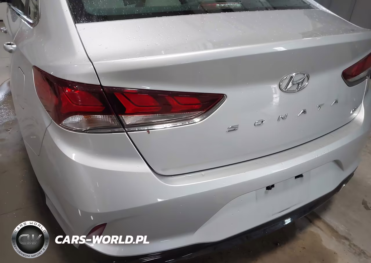 2019 Hyundai Sonata Eco VIN:5NPE24AA7KH775139 - 6