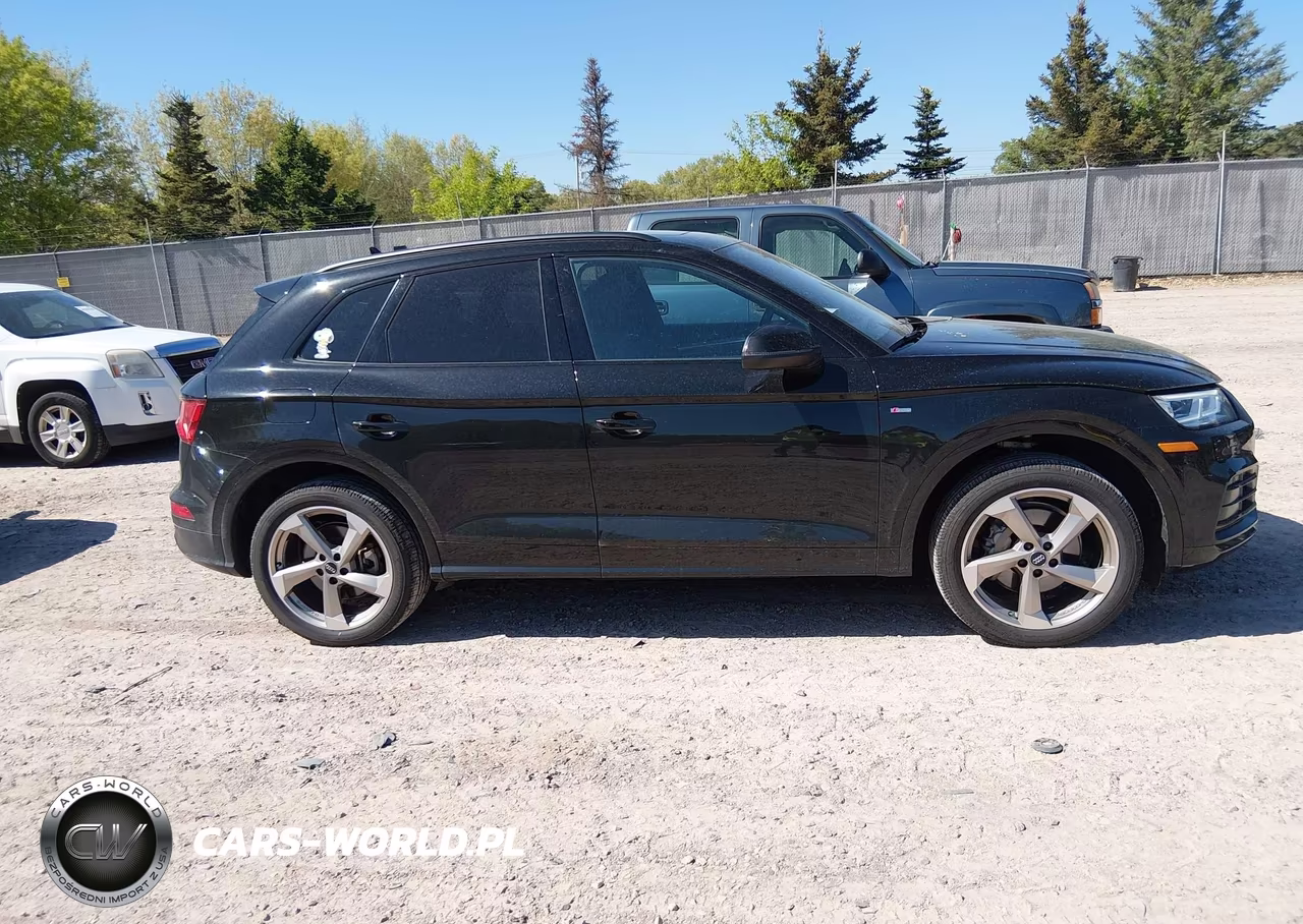 2020 Audi Q5 Titanium Premium Plus 45 Tfsi Quattro S Tronic VIN:WA1ENAFY9L2111224 - 13