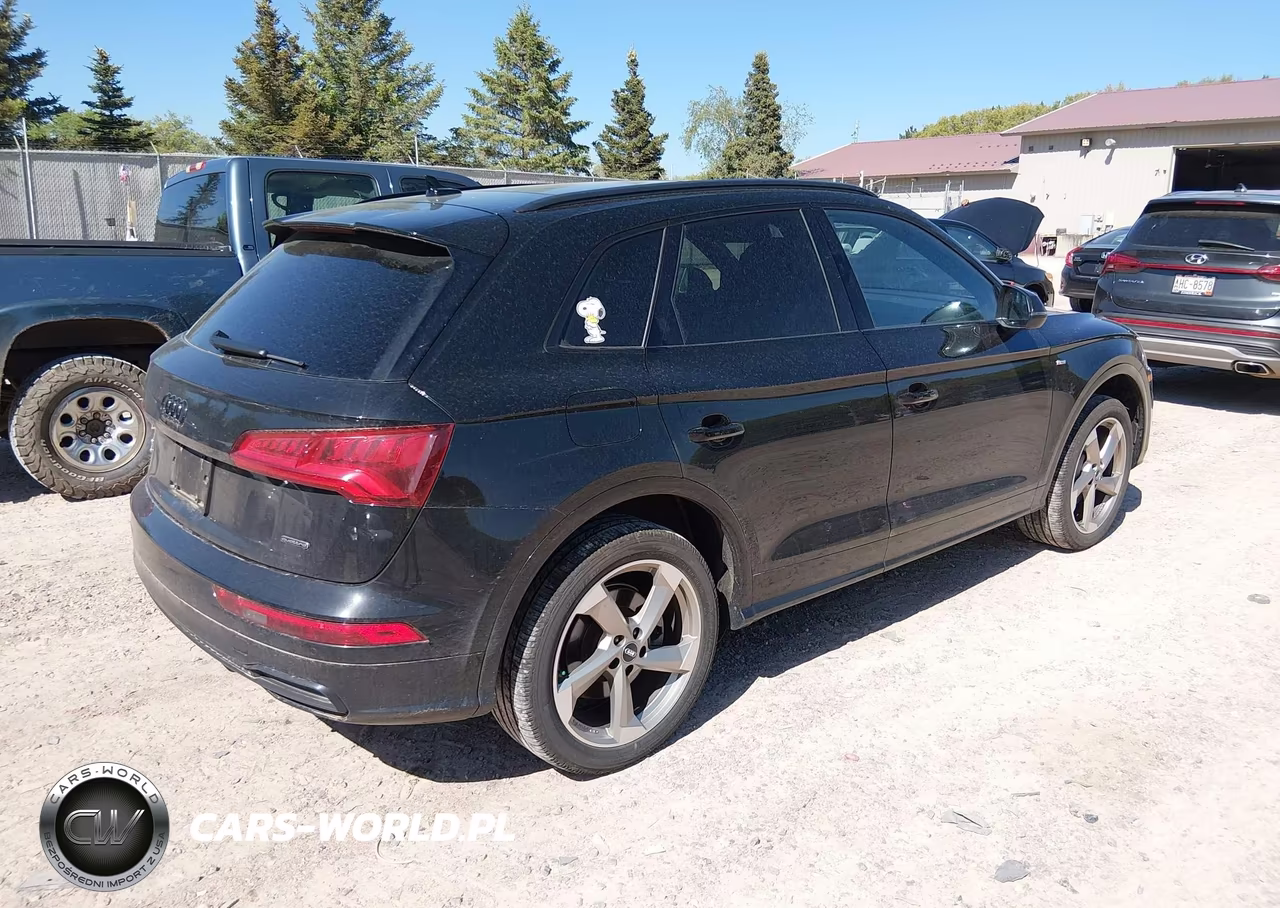 2020 Audi Q5 Titanium Premium Plus 45 Tfsi Quattro S Tronic VIN:WA1ENAFY9L2111224 - 4