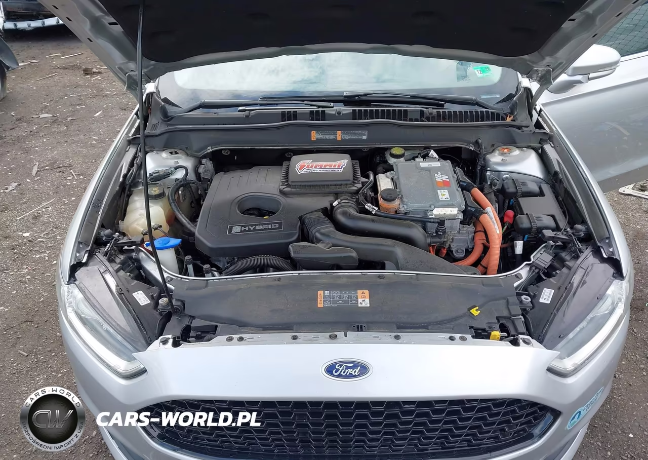 2016 Ford Fusion Hybrid Se VIN:3FA6P0LU2GR389017 - 10