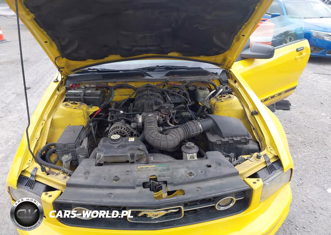 2006 Ford Mustang V6 VIN:1ZVFT80N565116802 - 10