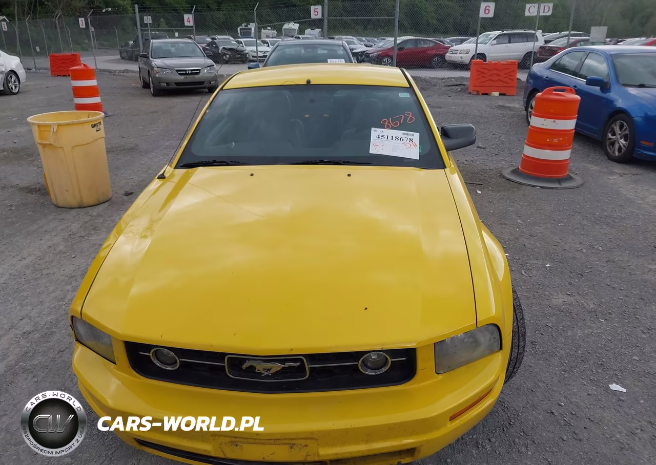 2006 Ford Mustang V6 VIN:1ZVFT80N565116802 - 12