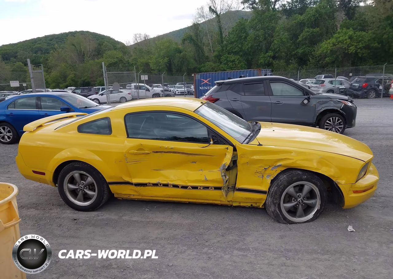 2006 Ford Mustang V6 VIN:1ZVFT80N565116802 - 13