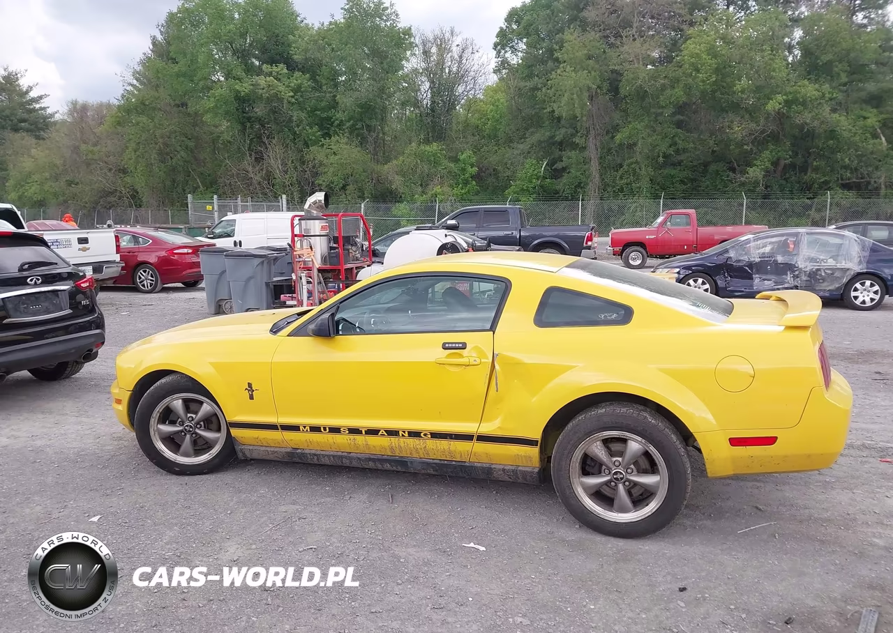 2006 Ford Mustang V6 VIN:1ZVFT80N565116802 - 14