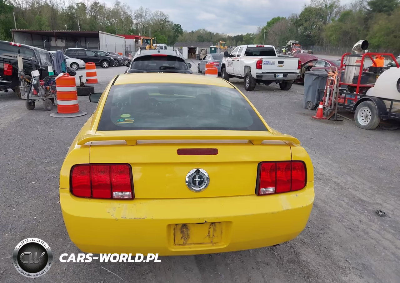 2006 Ford Mustang V6 VIN:1ZVFT80N565116802 - 16