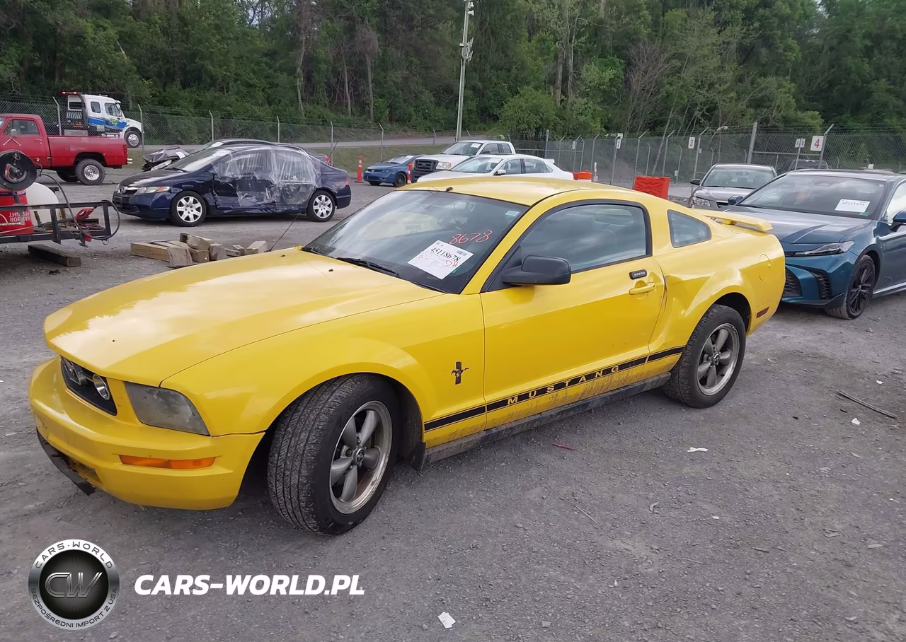 2006 Ford Mustang V6 VIN:1ZVFT80N565116802 - 2