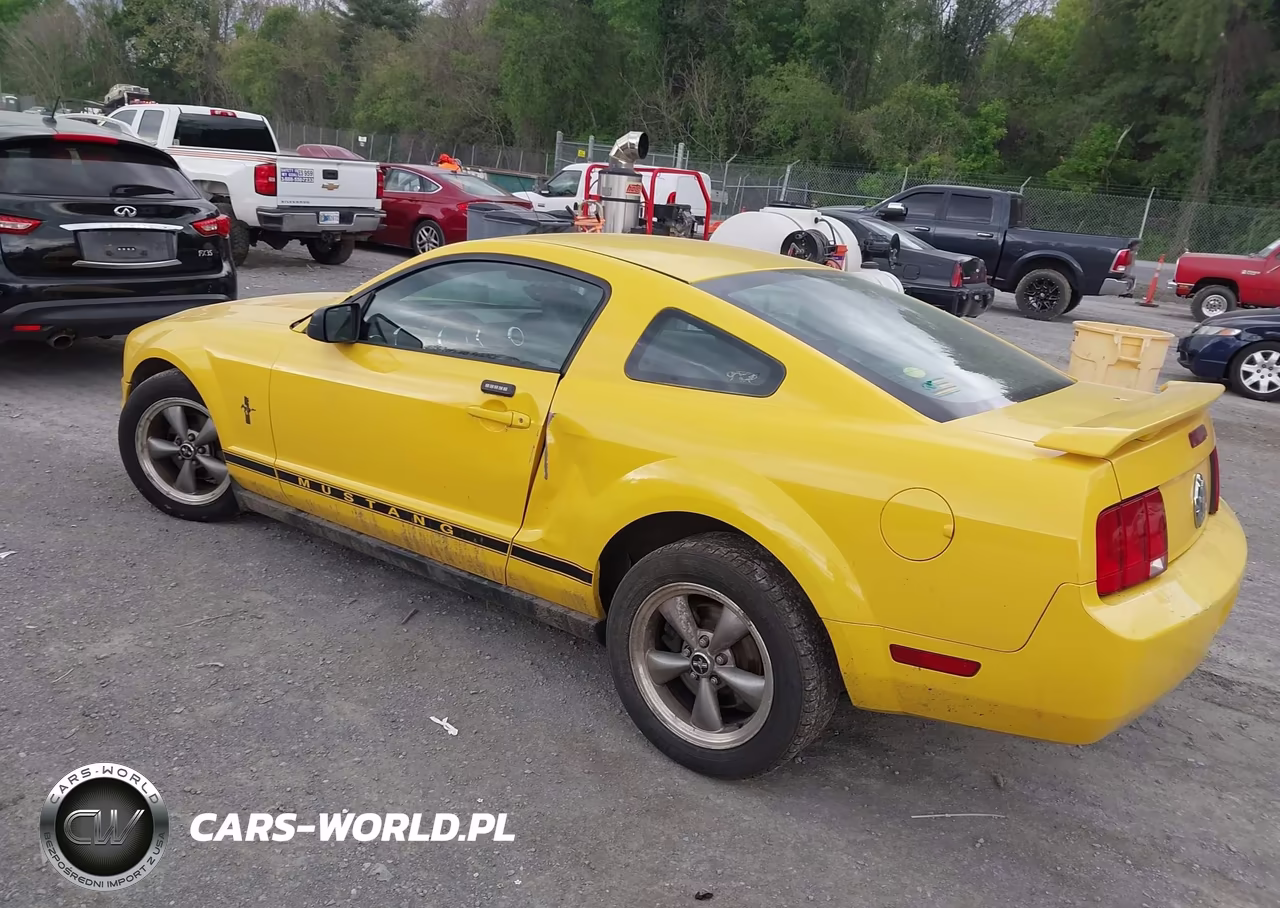 2006 Ford Mustang V6 VIN:1ZVFT80N565116802 - 3