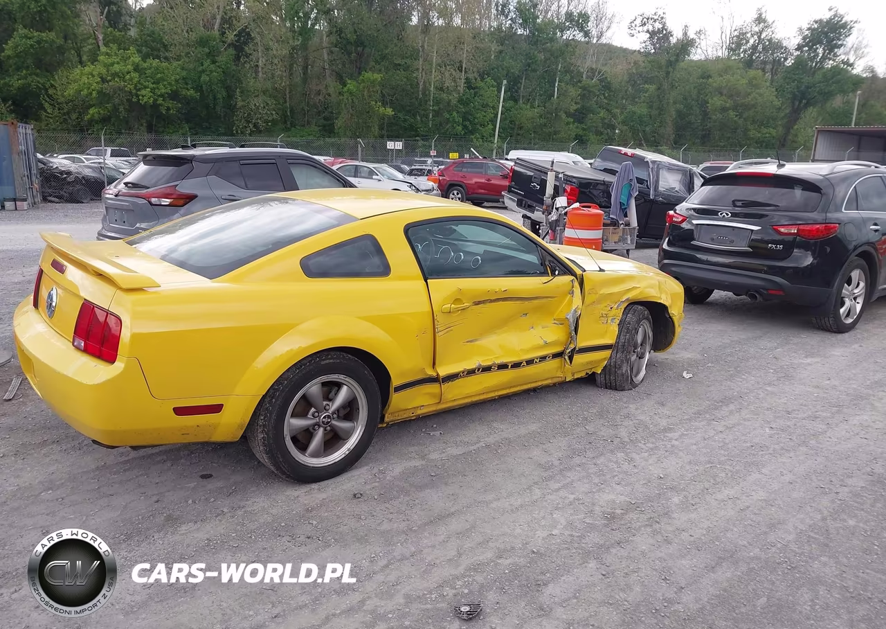 2006 Ford Mustang V6 VIN:1ZVFT80N565116802 - 4