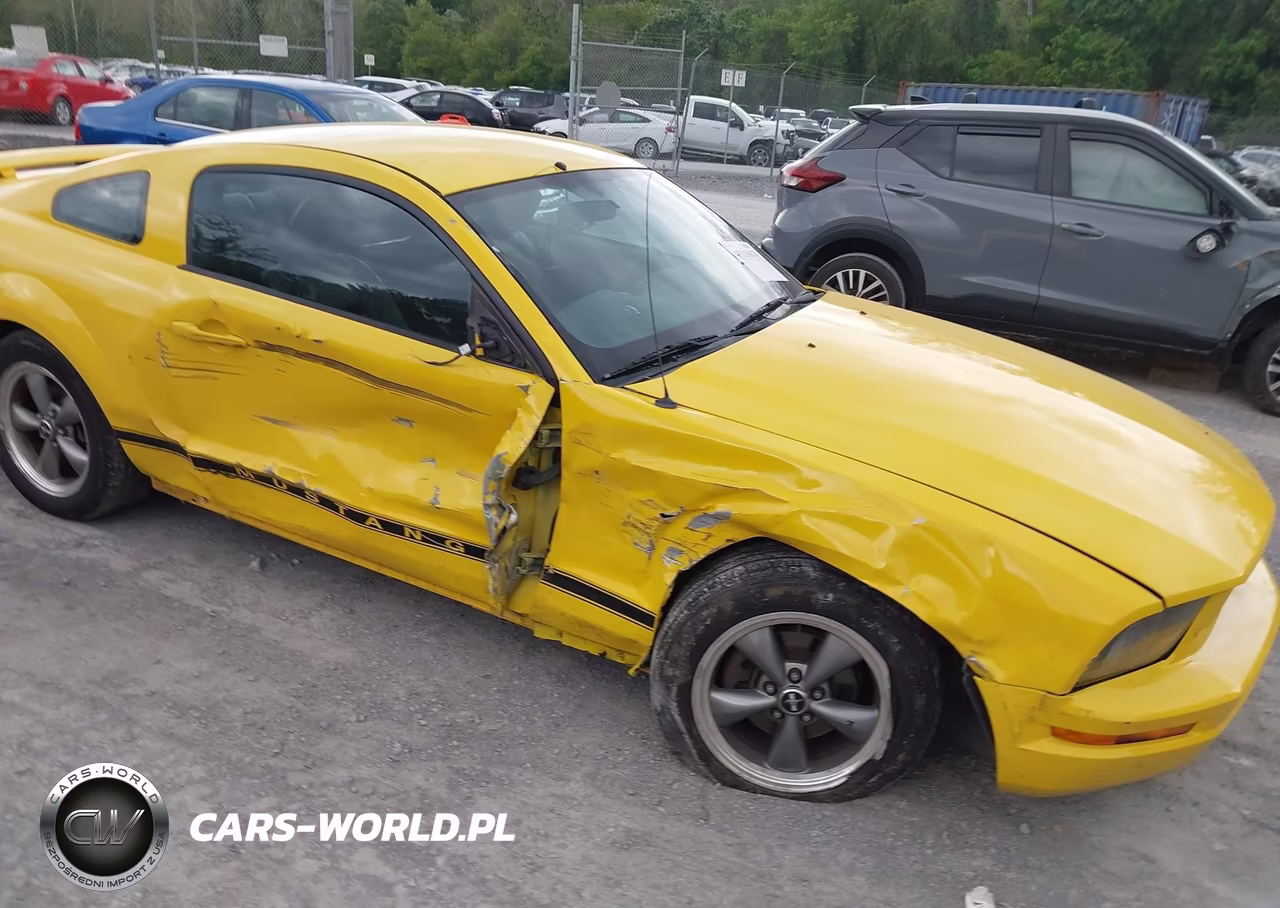 2006 Ford Mustang V6 VIN:1ZVFT80N565116802 - 6