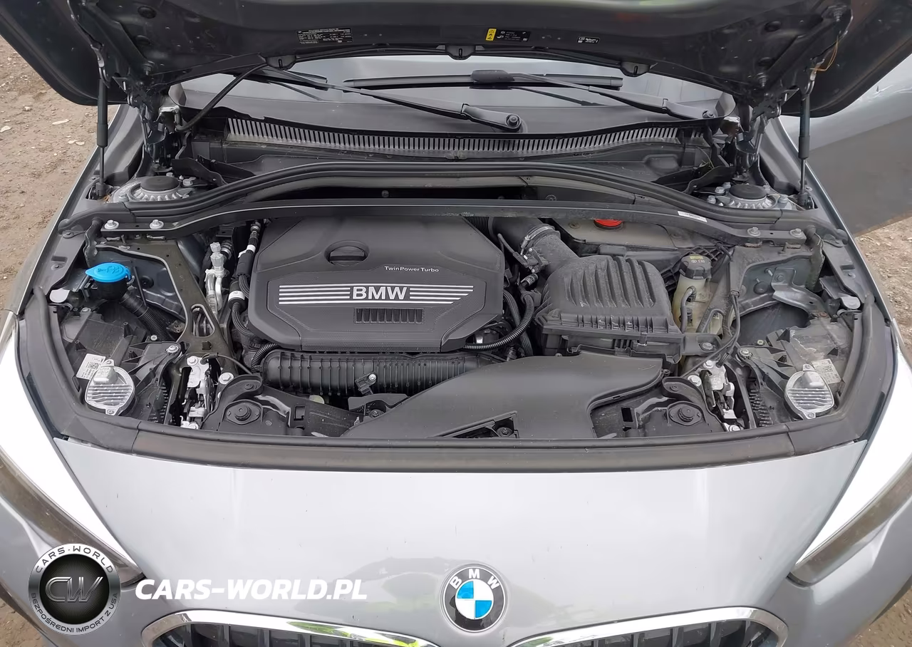 2022 BMW 228 Gran Coupe I xDrive VIN:WBA73AK09N7K06793 - 10