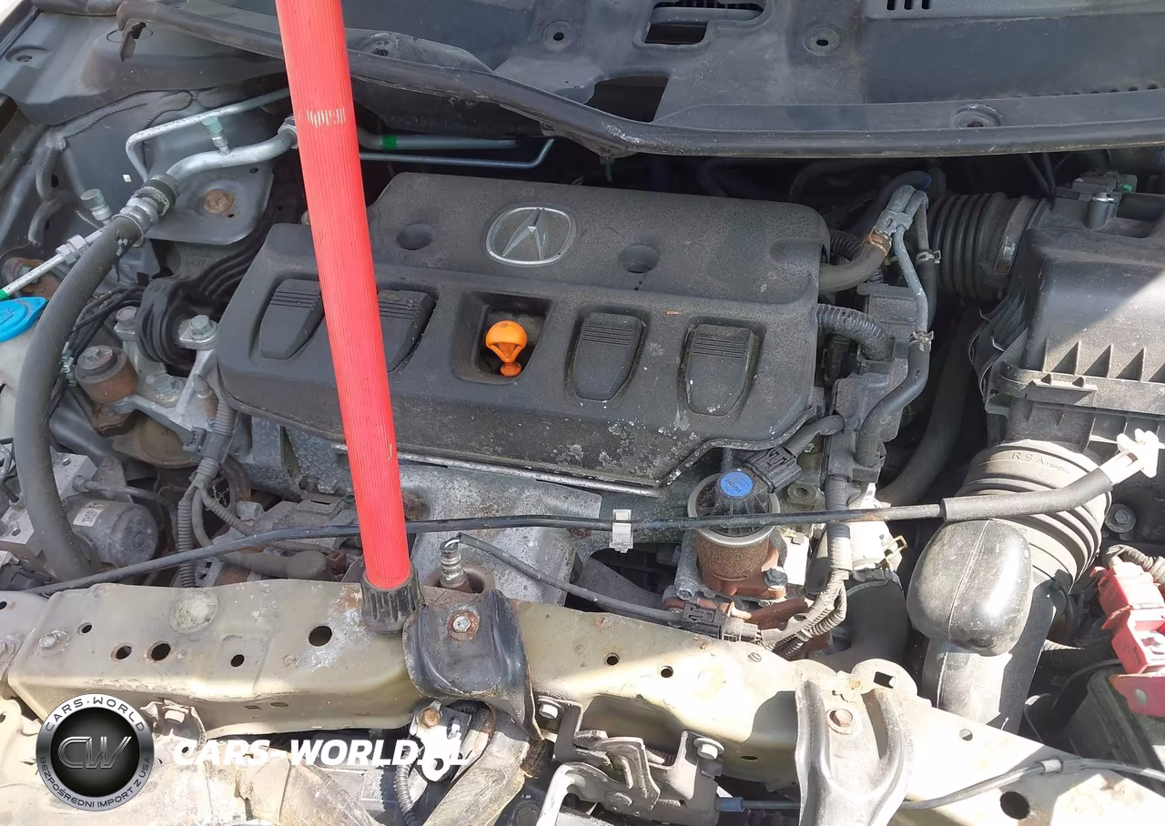 2013 Acura Ilx 2.0L VIN:19VDE1F32DE018838 - 10
