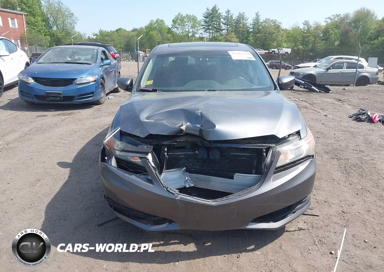2013 Acura Ilx 2.0L VIN:19VDE1F32DE018838 - 13