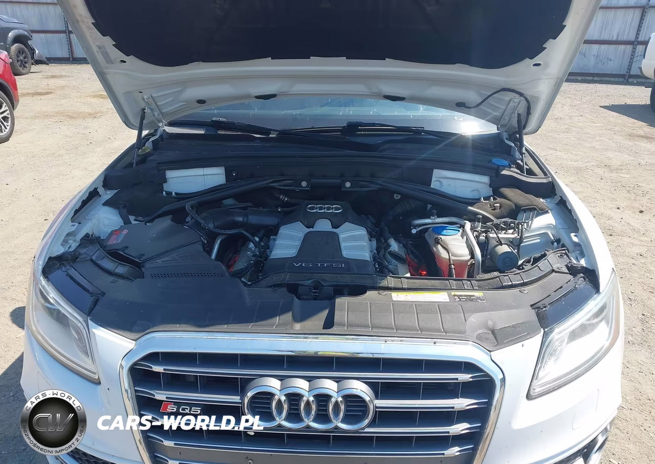 2015 Audi Sq5 3.0T Premium Plus VIN:WA1CGAFP1FA036764 - 10