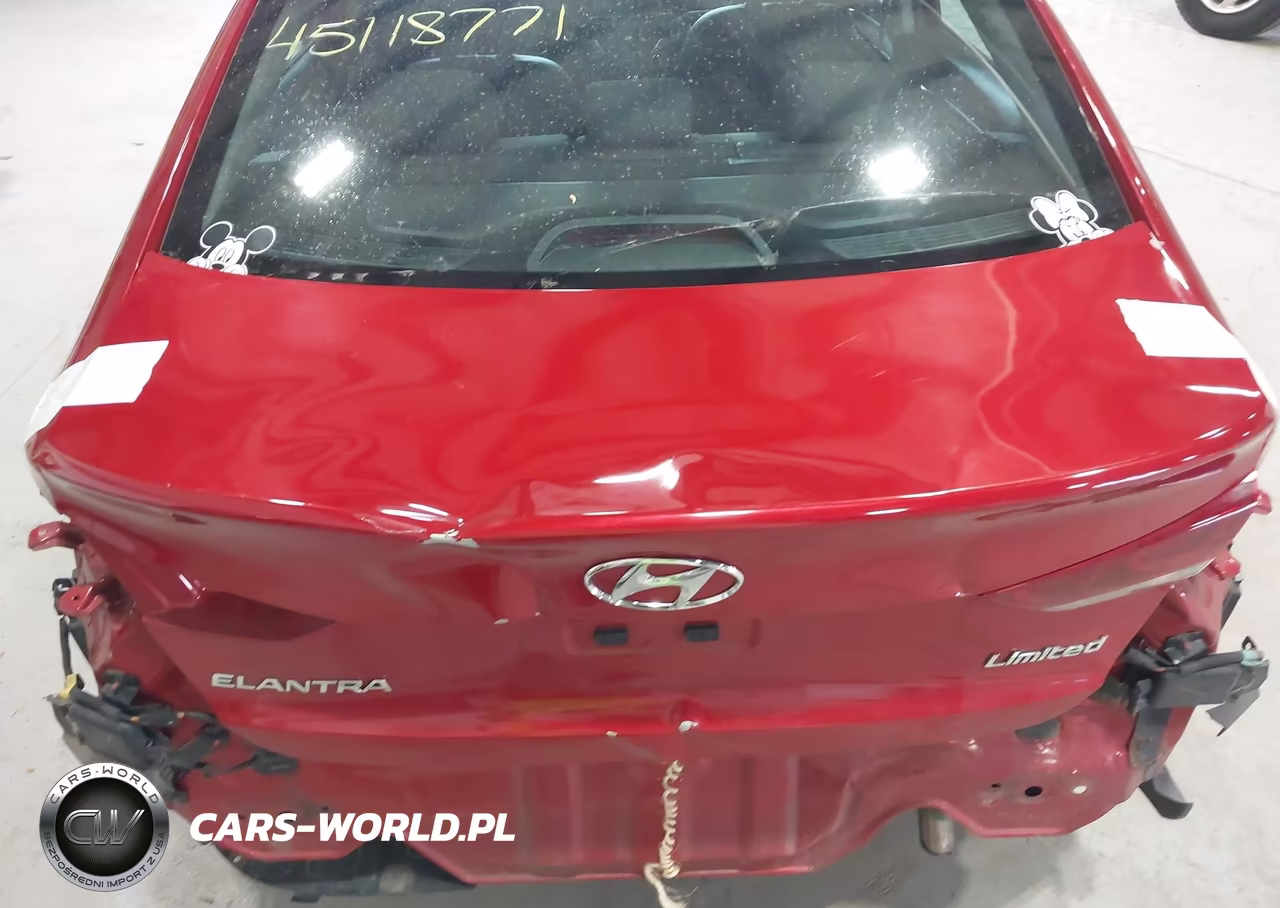 2017 Hyundai Elantra Limited VIN:5NPD84LF2HH089201 - 18