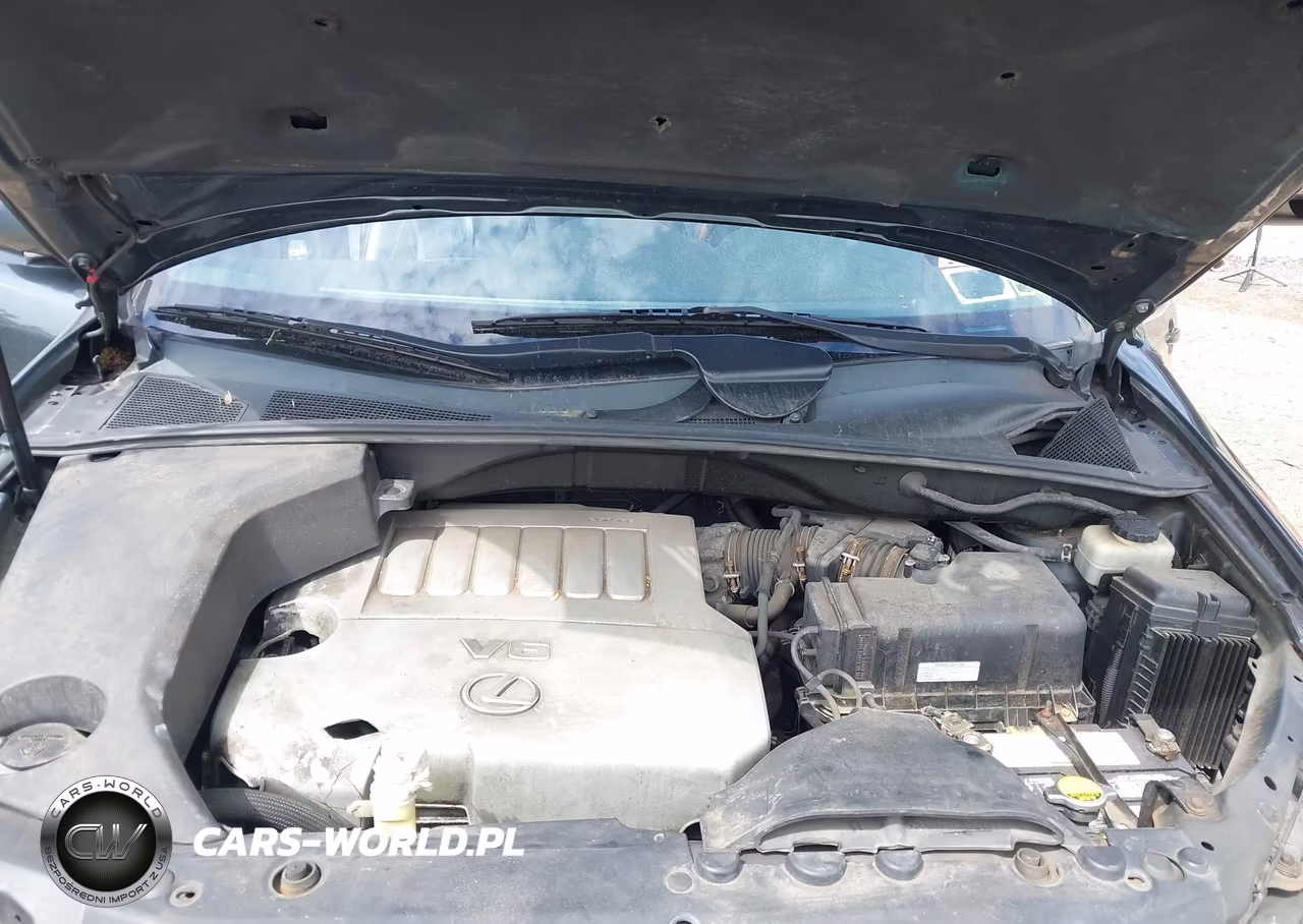 2007 Lexus Rx 350 VIN:2T2HK31U07C033382 - 10