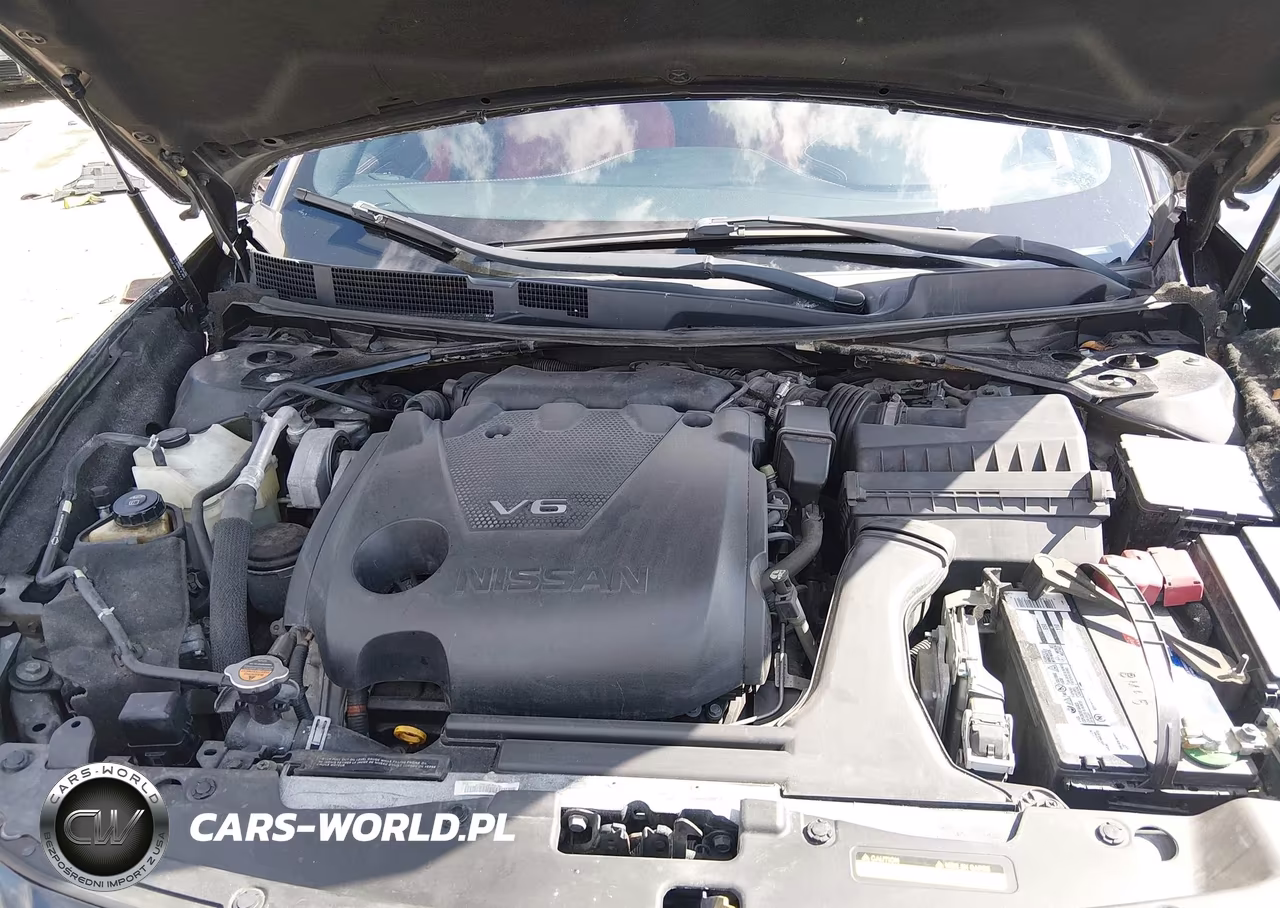 2016 Nissan Maxima 3.5 Sv VIN:1N4AA6AP0GC447393 - 10