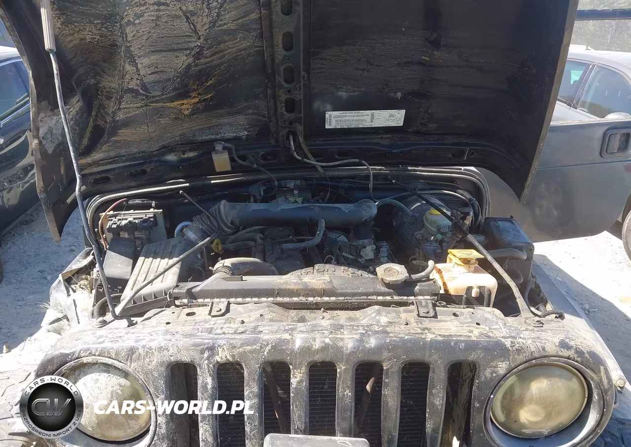 2002 Jeep Wrangler X VIN:1J4FA39S52P748115 - 10