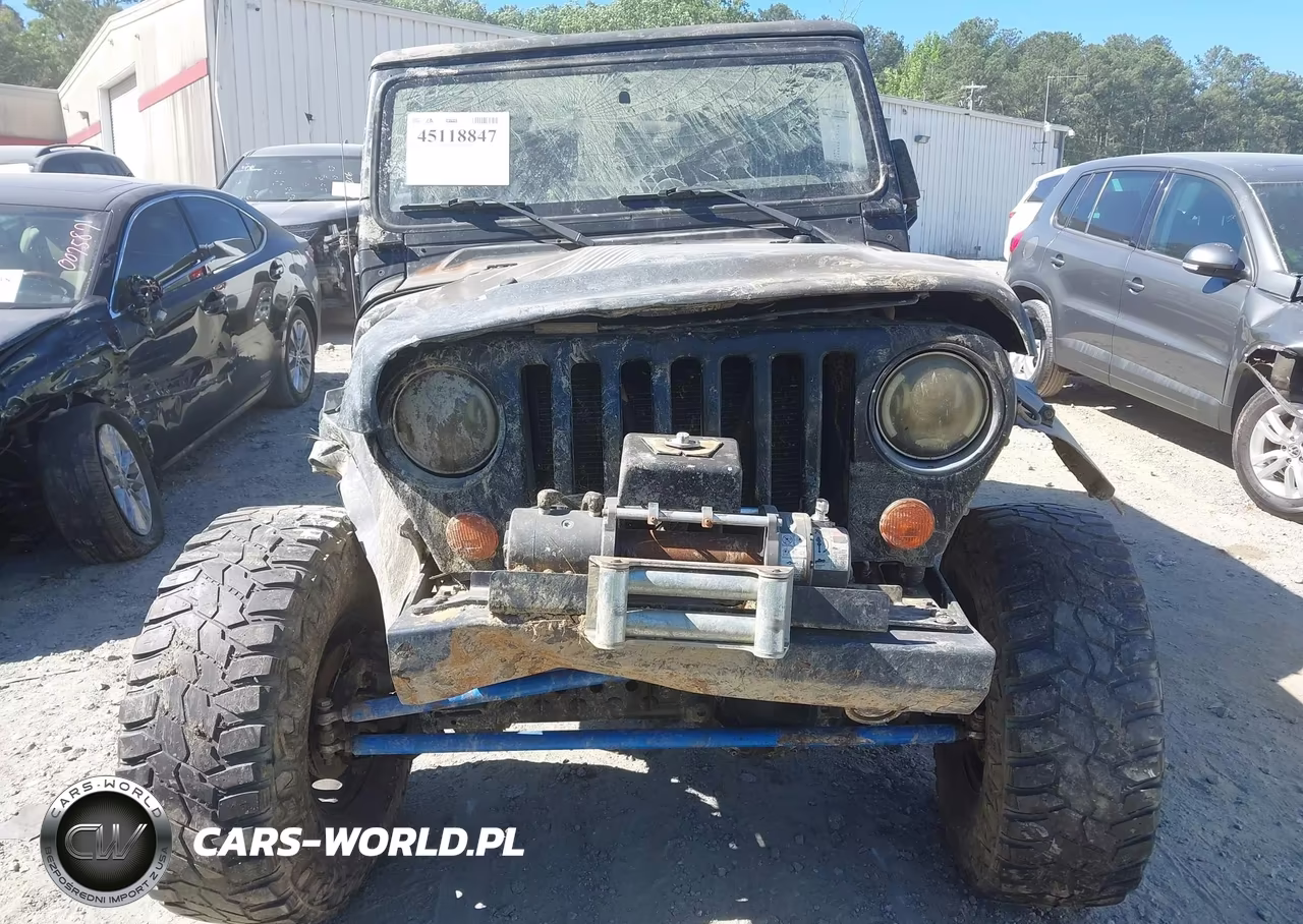 2002 Jeep Wrangler X VIN:1J4FA39S52P748115 - 11