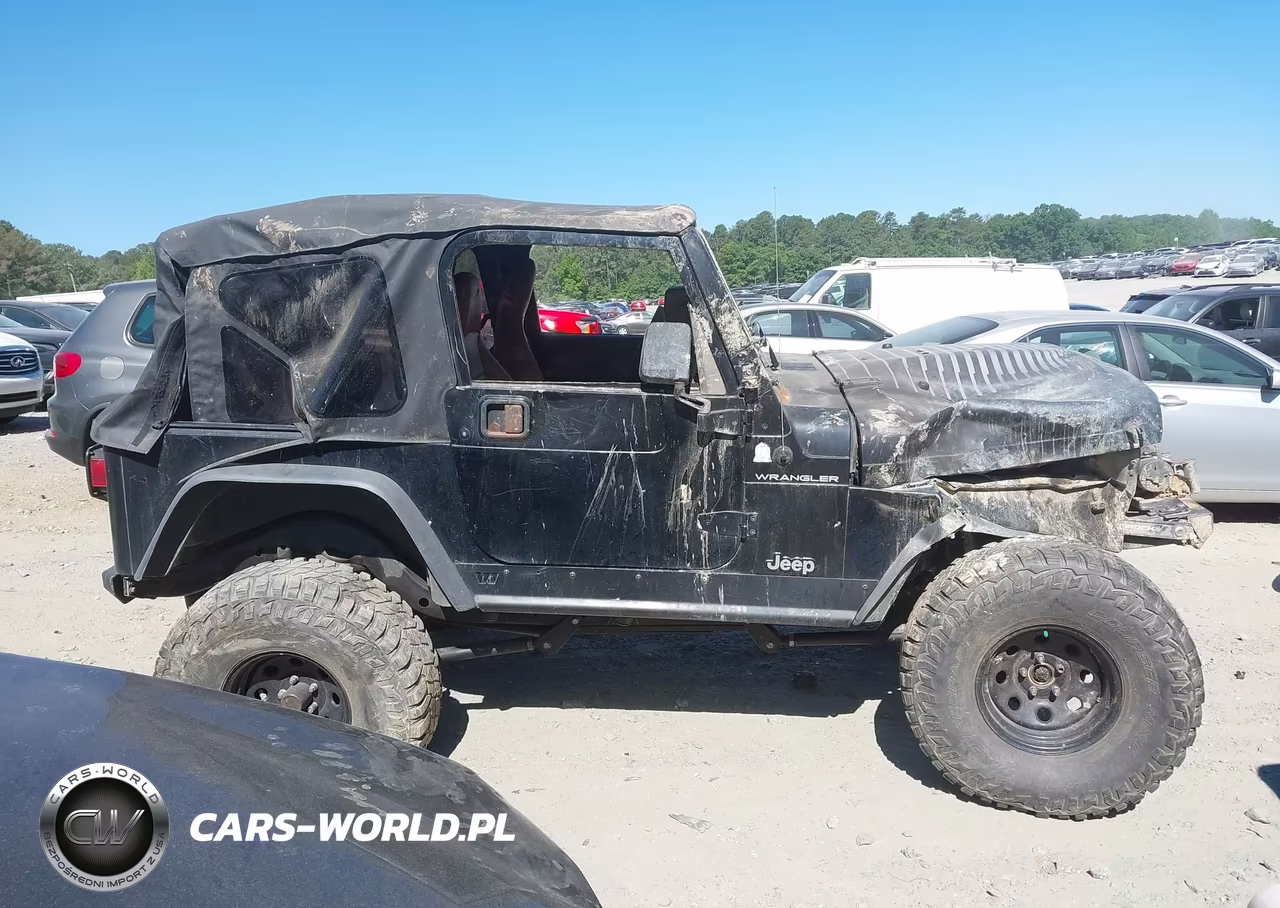 2002 Jeep Wrangler X VIN:1J4FA39S52P748115 - 12