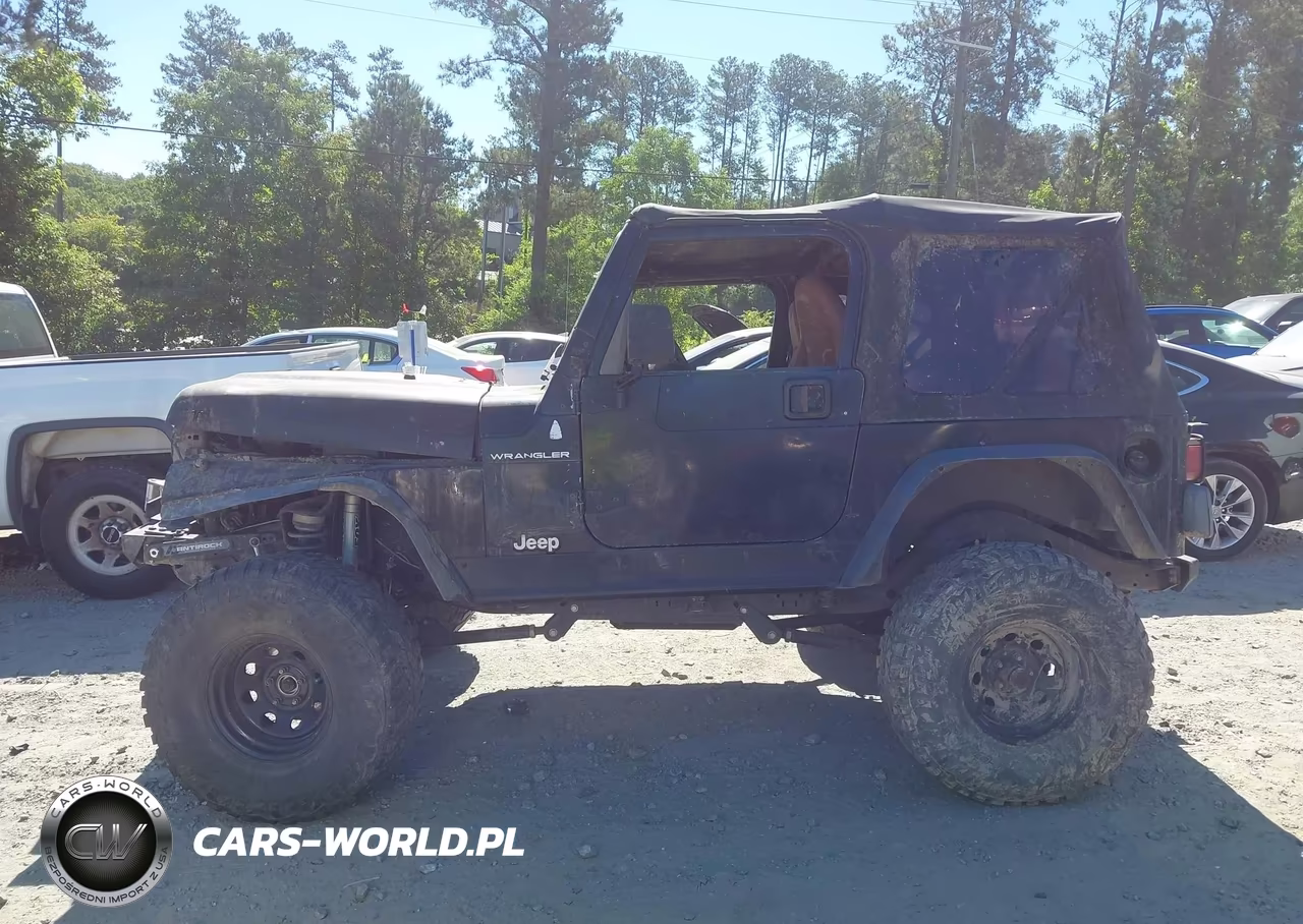 2002 Jeep Wrangler X VIN:1J4FA39S52P748115 - 13