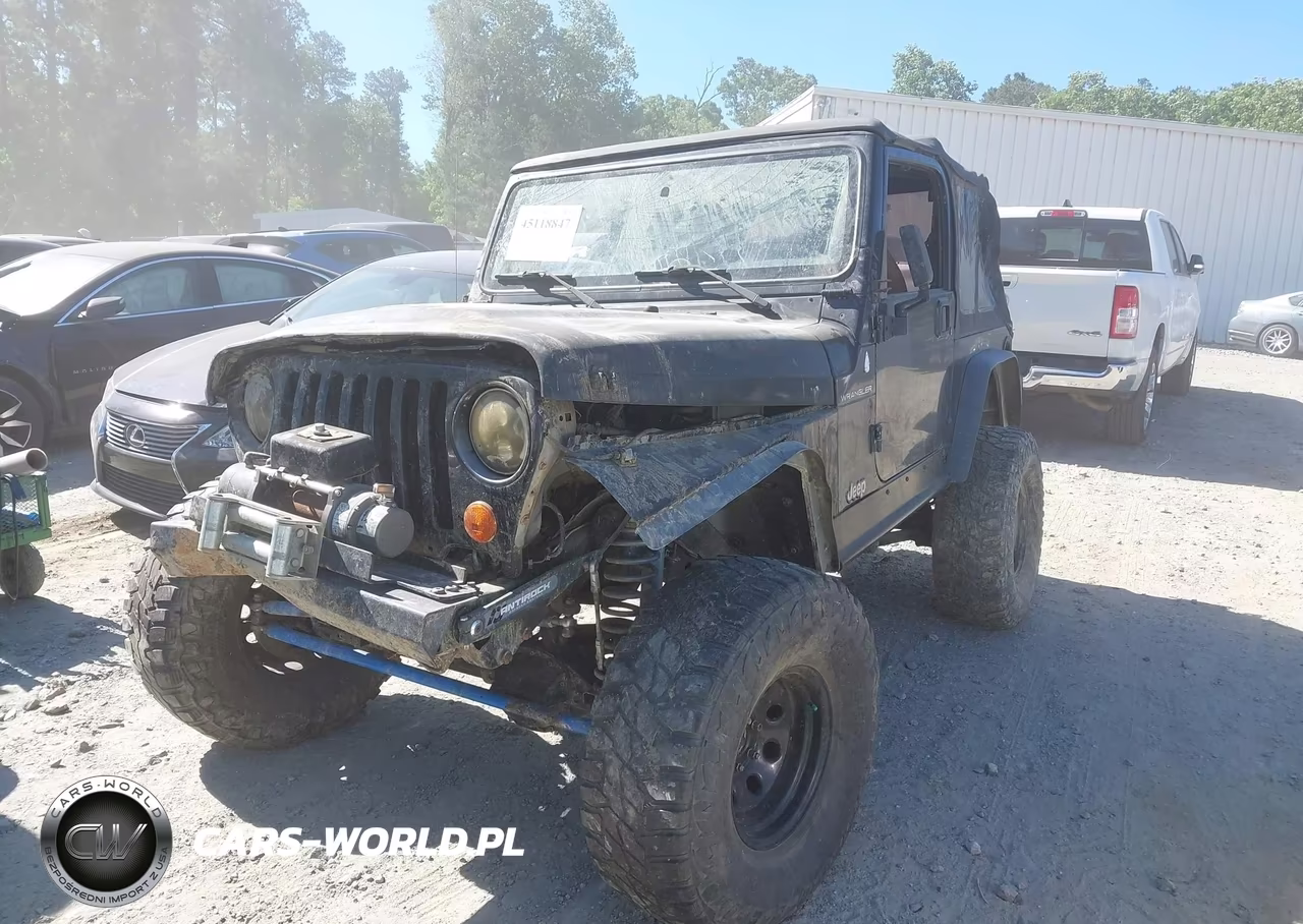 2002 Jeep Wrangler X VIN:1J4FA39S52P748115 - 2