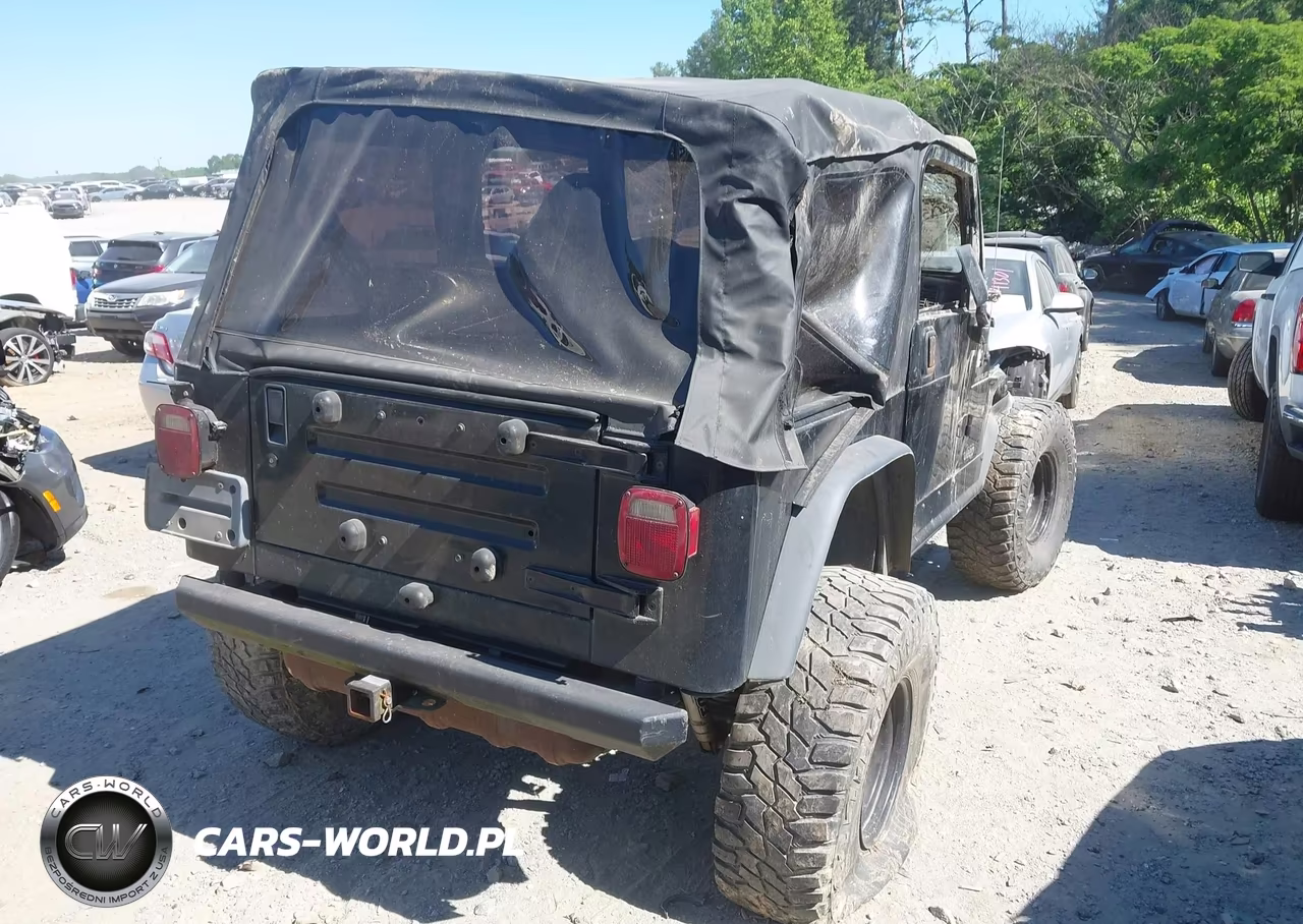 2002 Jeep Wrangler X VIN:1J4FA39S52P748115 - 4