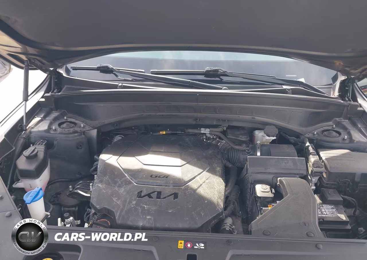 2023 Kia Telluride Ex VIN:5XYP34GC6PG402896 - 10