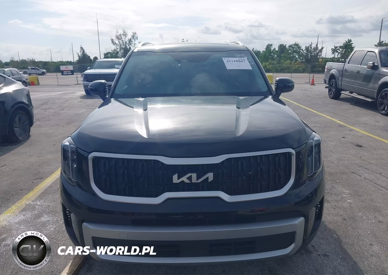 2023 Kia Telluride Ex VIN:5XYP34GC6PG402896 - 12