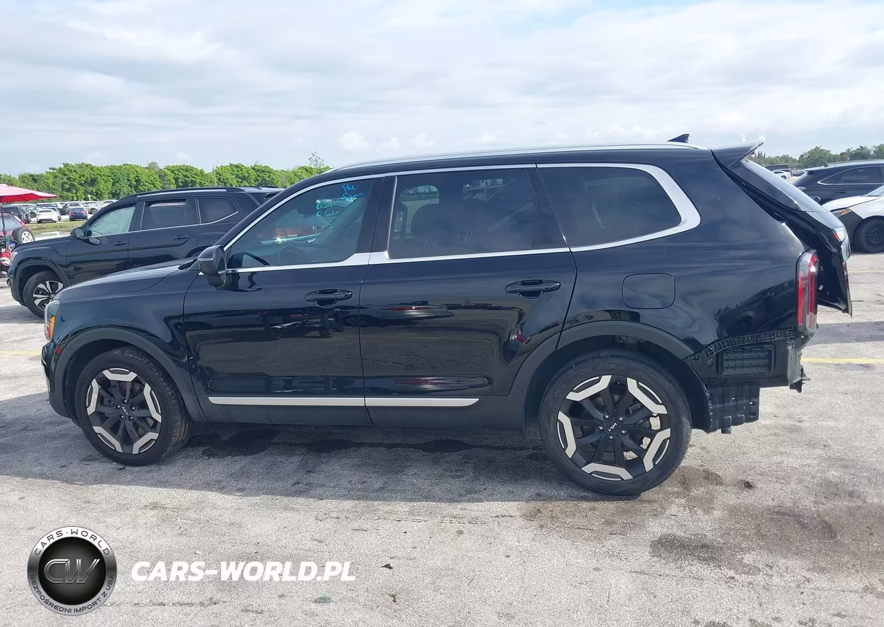 2023 Kia Telluride Ex VIN:5XYP34GC6PG402896 - 14