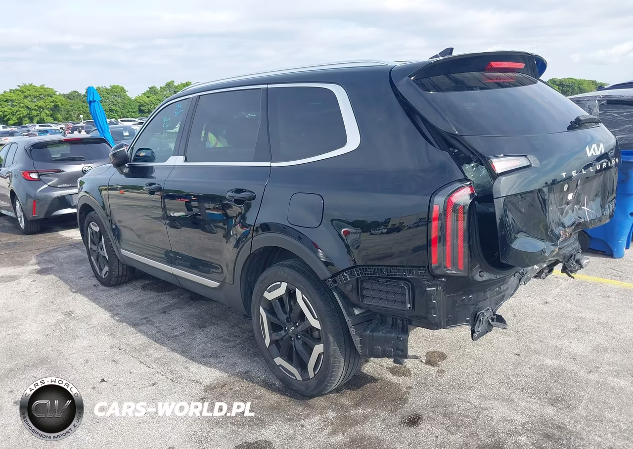 2023 Kia Telluride Ex VIN:5XYP34GC6PG402896 - 17