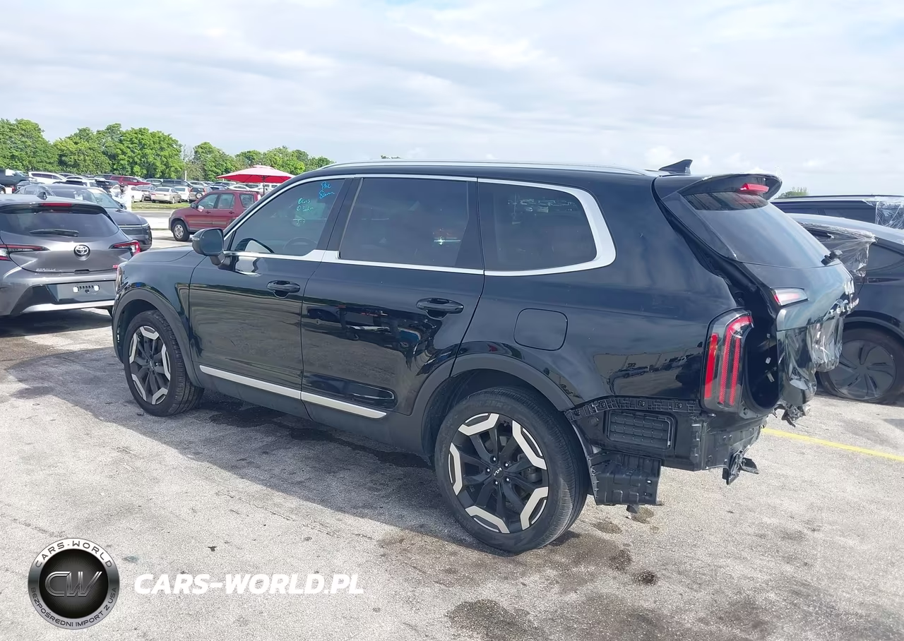 2023 Kia Telluride Ex VIN:5XYP34GC6PG402896 - 3