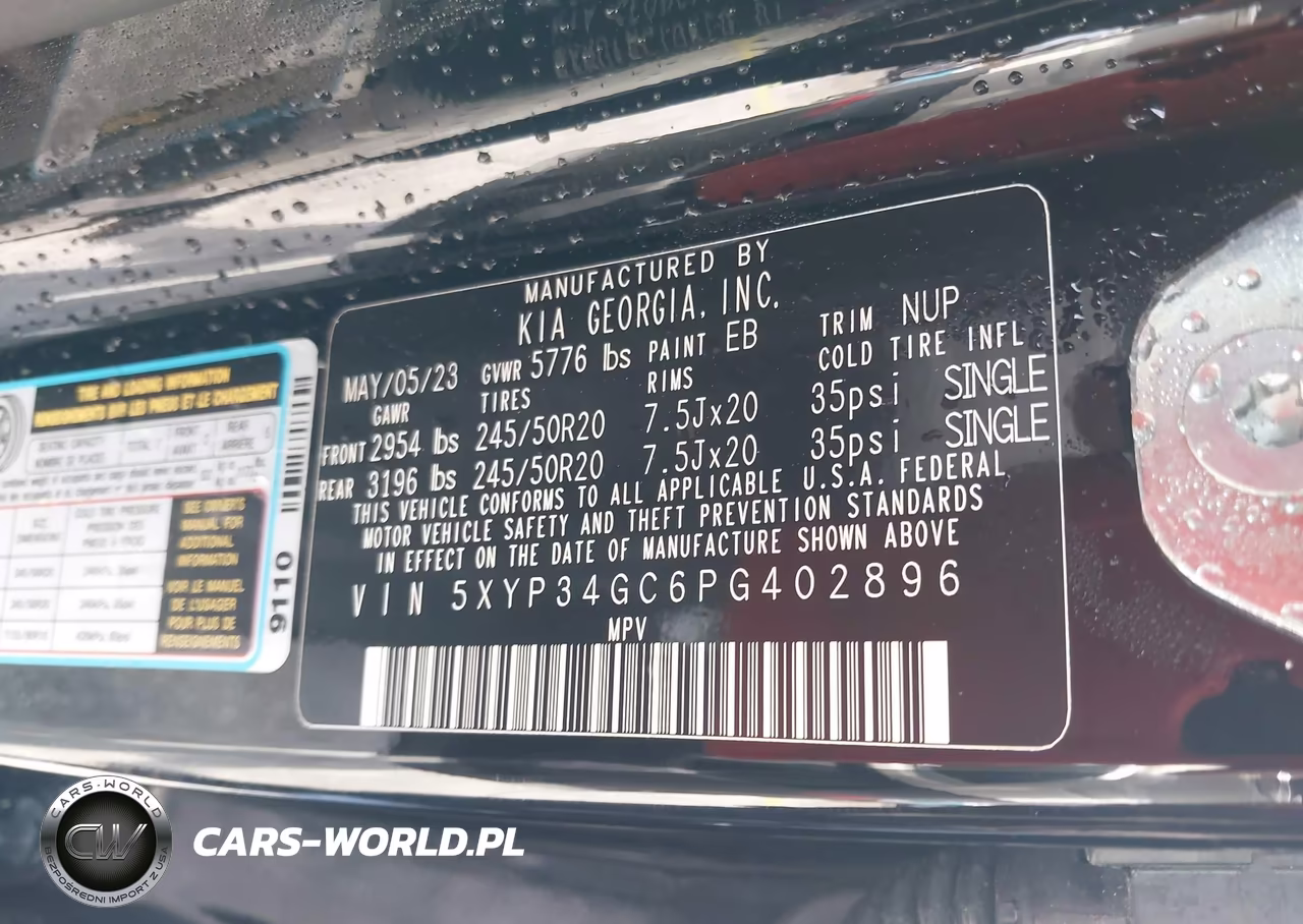 2023 Kia Telluride Ex VIN:5XYP34GC6PG402896 - 9