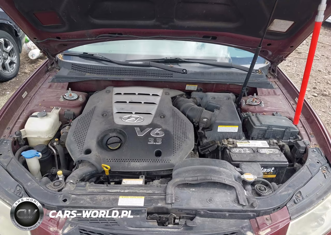 2007 Hyundai Sonata Limited-Se V6 VIN:5NPEU46F17H286712 - 10