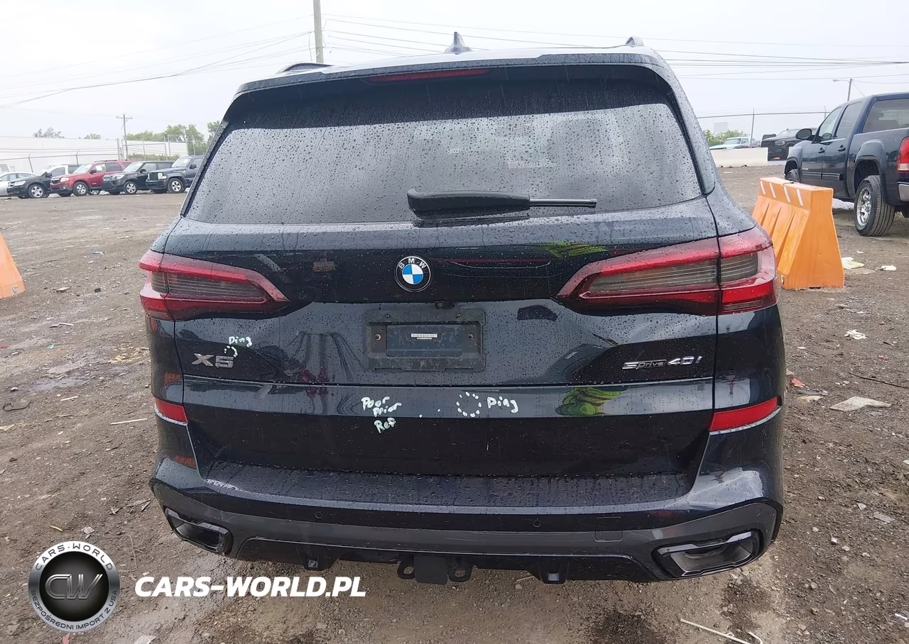 2023 BMW X5 Sdrive40I VIN:5UXCR4C03P9R37063 - 17